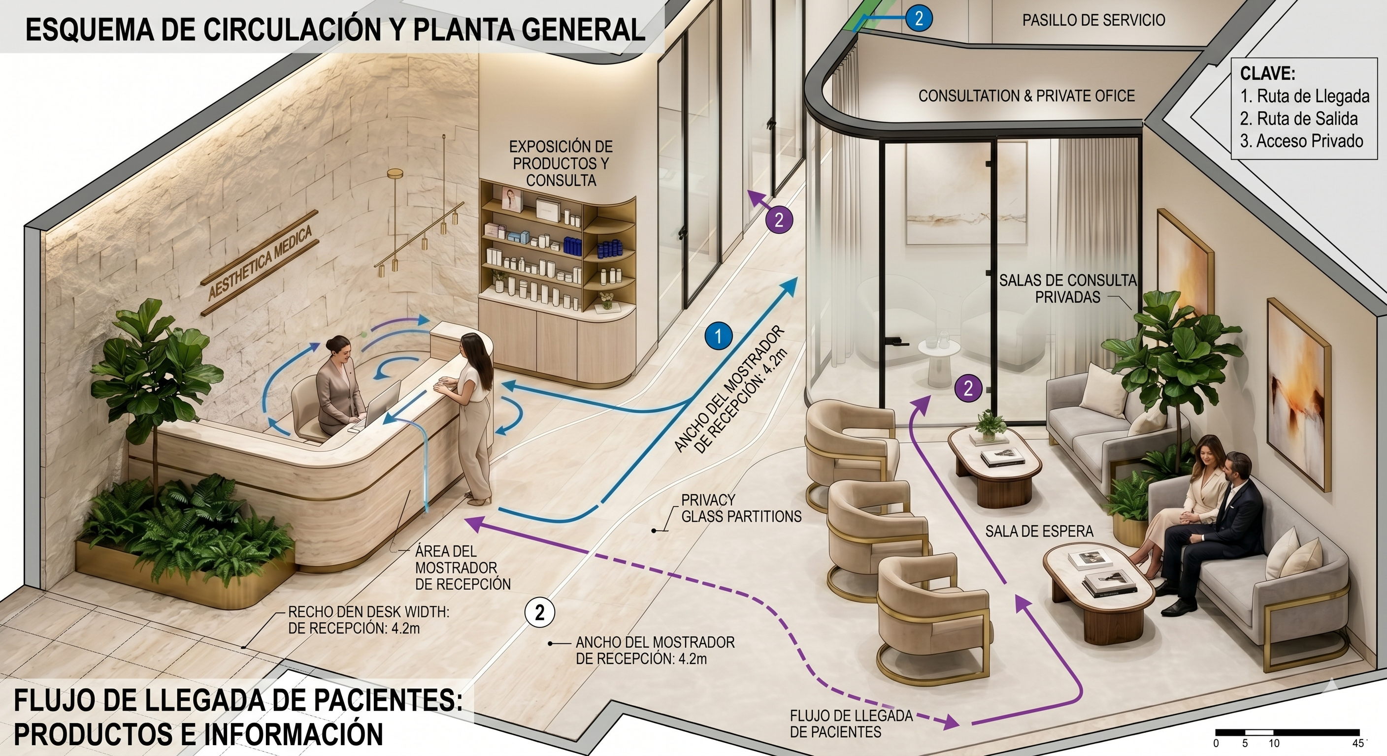 Aesthetica Medica — Planta isométrica con flujos de circulación